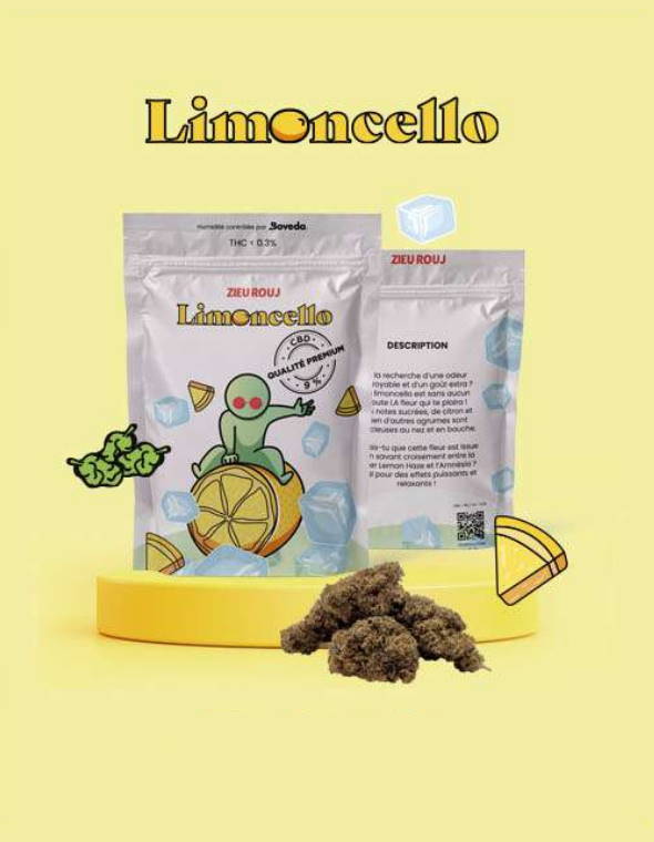 Limoncello - Indoor