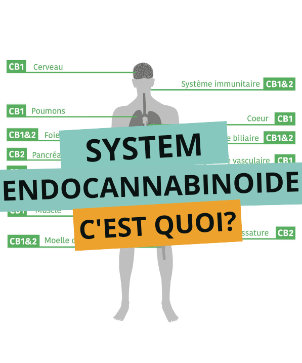 SYSTEME