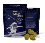 Moon Rock