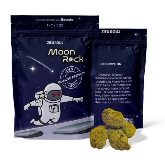 Moon Rock