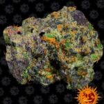 Runtz Muffin - Barney's Farm